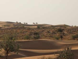 Dune de Jaisalmer