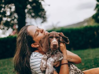 Socialisation des chiens