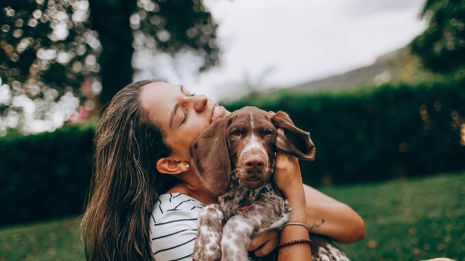 Socialisation des chiens Socialisation des chiens