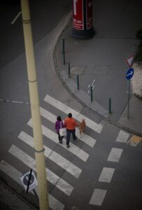 Un couple marche avec son chien sur le passage piéton.